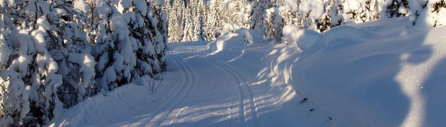 Øyfjell Raudsinutan Løypelag