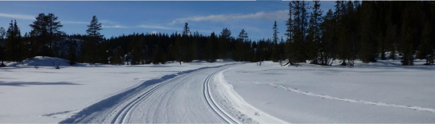 Øyfjell Raudsinutan Løypelag