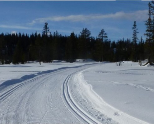Øyfjell Raudsinutan Løypelag