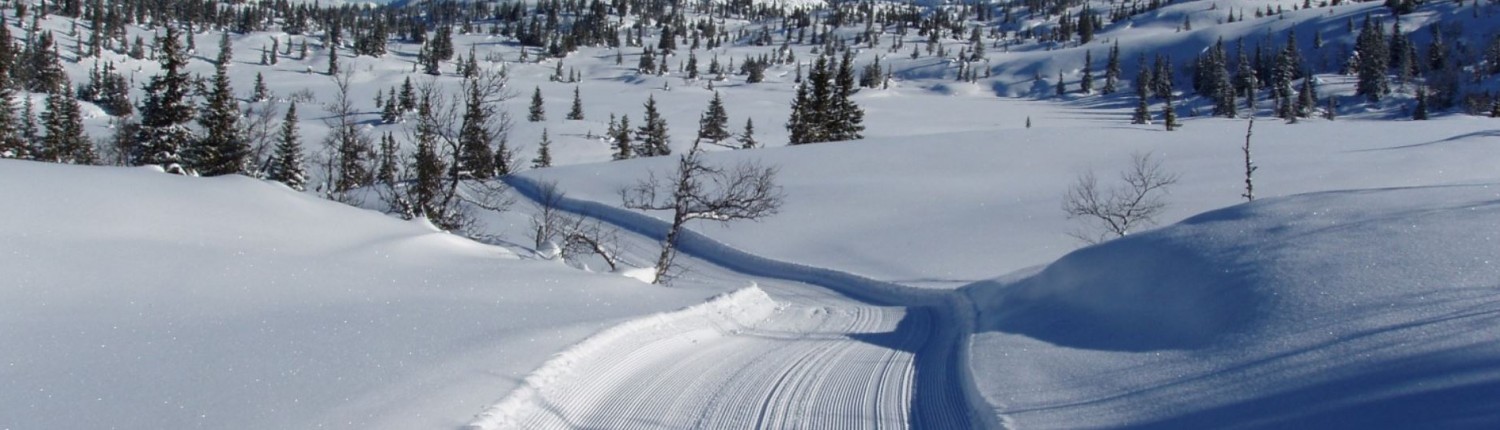 Øyfjell Raudsinutan Løypelag