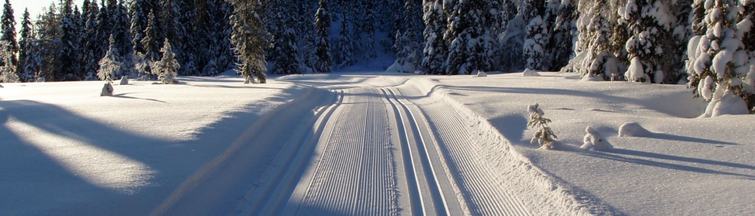 Øyfjell Raudsinutan Løypelag