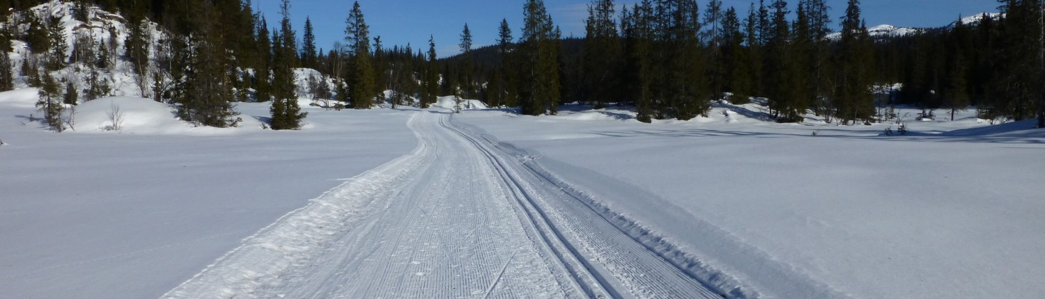 Buinløypa mot Gråndalen