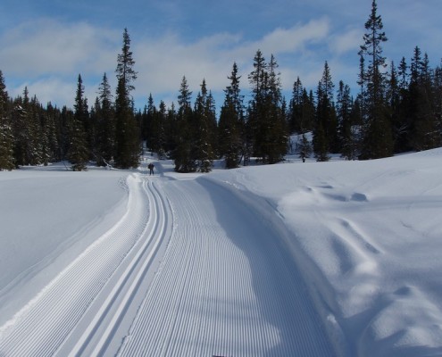 Øyfjell, Roløypa der Roselet stod.