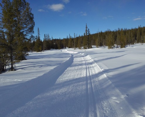 Løypelag Øyfjell Buinløypa