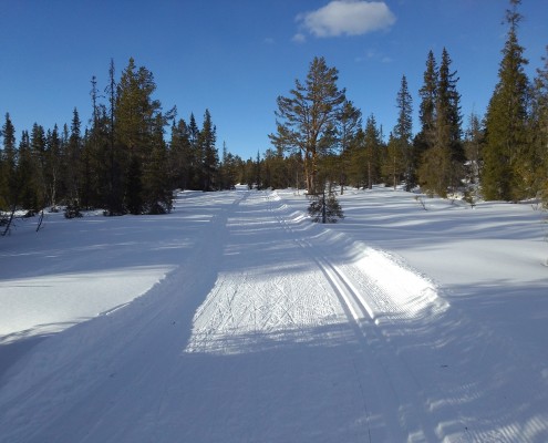 Løypelag Øyfjell Buinløypa