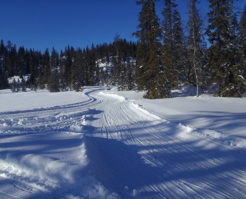 Øyfjell Løypekryss Lauvnutmyri Sauliløypa - Buinløypa