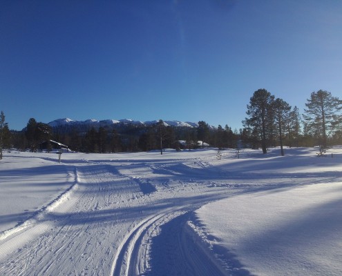 Øyfjell løypekryss Buin-Heimigardsløypa