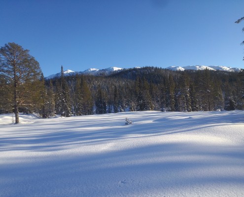 Øyfjell Buinløypa med Raudsinutane i bakgrunnen