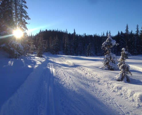 Øyfjell Buinløypa ved Dammyri