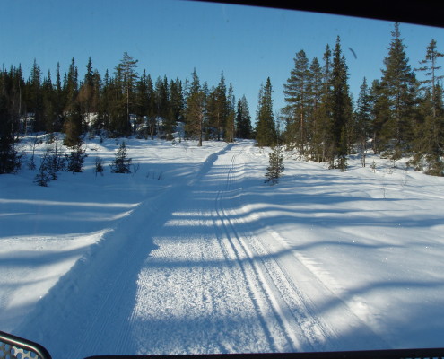 Langs Trovasstjønni i Øyfjell