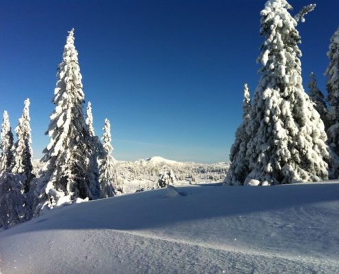 Gjeslemoløypa, Grunntjønnhøgdi, Seljord