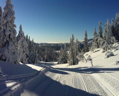 Gjeslemoløypa, Seljord - Tokke