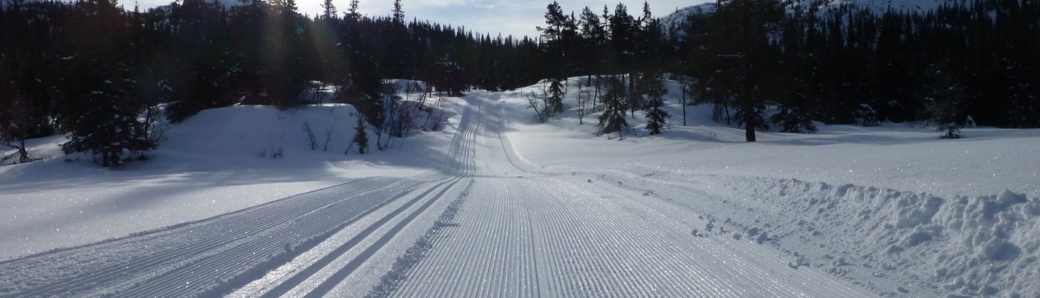 Øyfjell Raudsinutan Løypelag